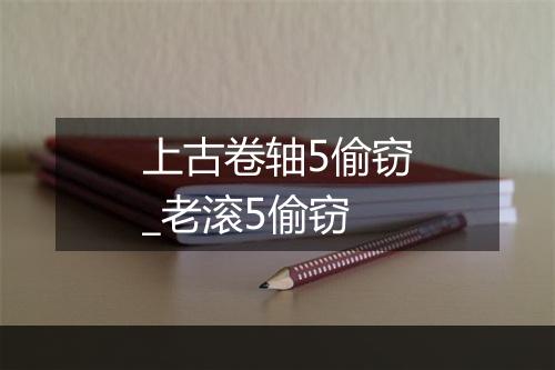 上古卷轴5偷窃_老滚5偷窃