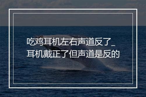 吃鸡耳机左右声道反了_耳机戴正了但声道是反的