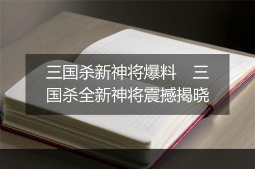 三国杀新神将爆料 三国杀全新神将震撼揭晓