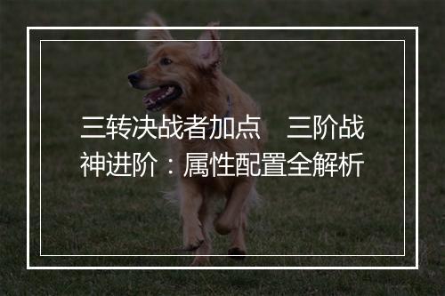三转决战者加点 三阶战神进阶:属性配置全解析