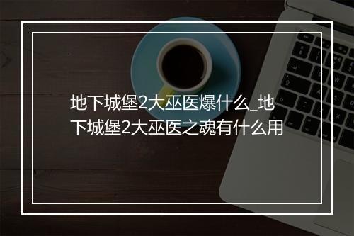 地下城堡2大巫医爆什么_地下城堡2大巫医之魂有什么用