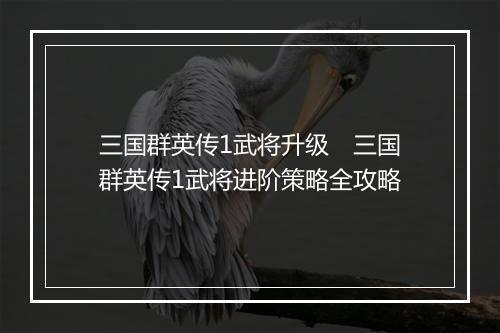 三国群英传1武将升级 三国群英传1武将进阶策略全攻略