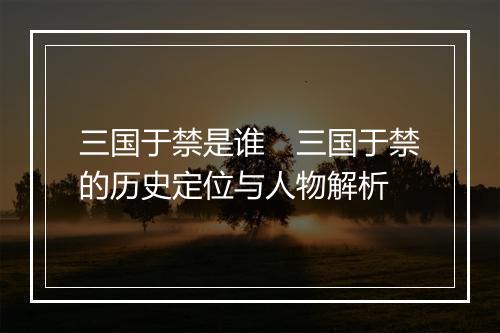 三国于禁是谁 三国于禁的历史定位与人物解析