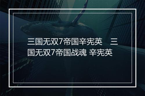 三国无双7帝国辛宪英 三国无双7帝国战魂 辛宪英