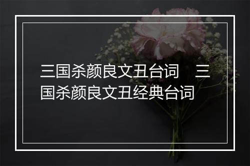三国杀颜良文丑台词 三国杀颜良文丑经典台词