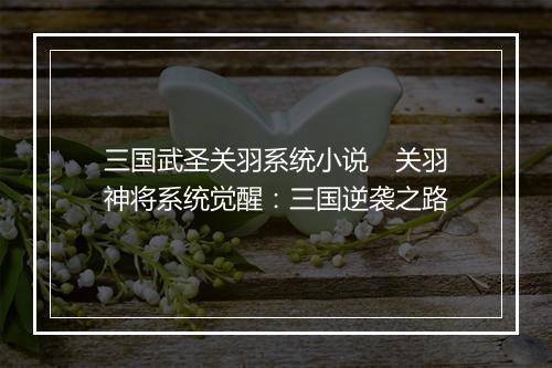 三国武圣关羽系统小说 关羽神将系统觉醒:三国逆袭之路