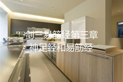 剑三易筋经第三章_神足经和易筋经