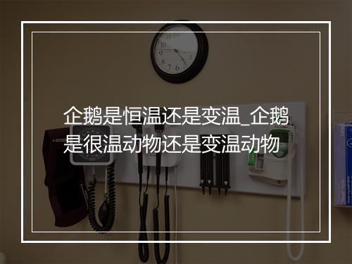 企鹅是恒温还是变温_企鹅是很温动物还是变温动物