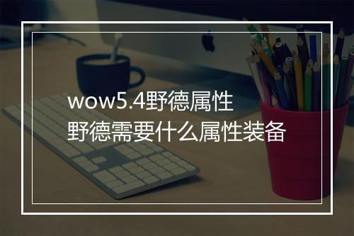 wow5.4野德属性 野德需要什么属性装备