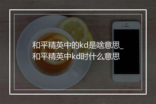 和平精英中的kd是啥意思_和平精英中kd时什么意思