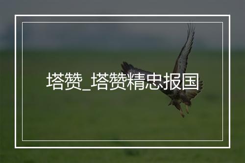 塔赞_塔赞精忠报国